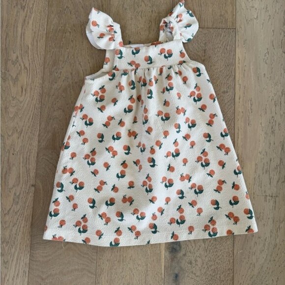 Girls Fruit Orange Dress Size 3-4 years